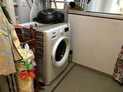 Blk 363B Sun Natura (Sembawang), HDB 4 Rooms #536153311